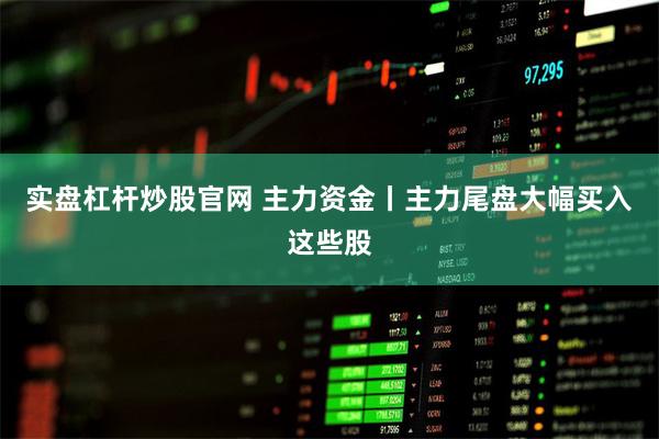 实盘杠杆炒股官网 主力资金丨主力尾盘大幅买入这些股