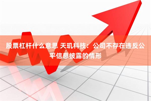 股票杠杆什么意思 天玑科技：公司不存在违反公平信息披露的情形