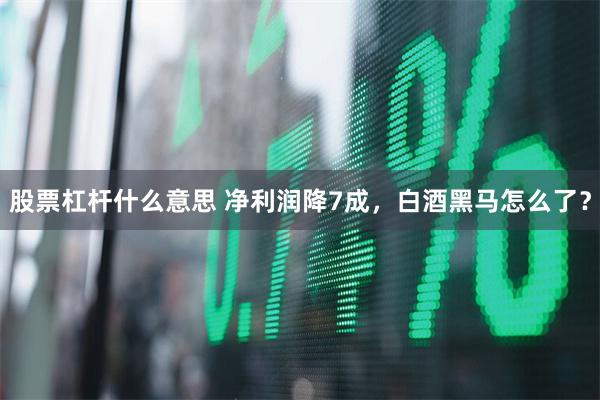 股票杠杆什么意思 净利润降7成，白酒黑马怎么了？