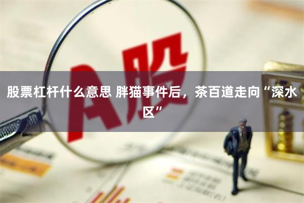 股票杠杆什么意思 胖猫事件后，茶百道走向“深水区”