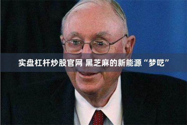 实盘杠杆炒股官网 黑芝麻的新能源“梦呓”