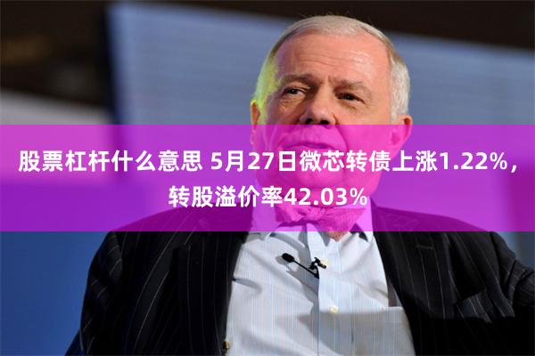 股票杠杆什么意思 5月27日微芯转债上涨1.22%，转股溢价率42.03%