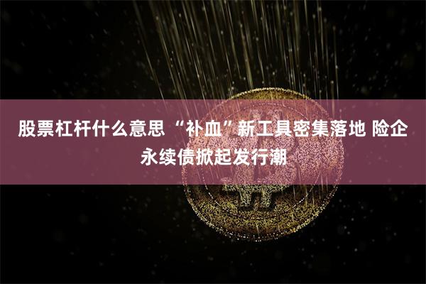 股票杠杆什么意思 “补血”新工具密集落地 险企永续债掀起发行潮