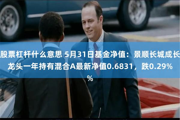 股票杠杆什么意思 5月31日基金净值：景顺长城成长龙头一年持有混合A最新净值0.6831，跌0.29%