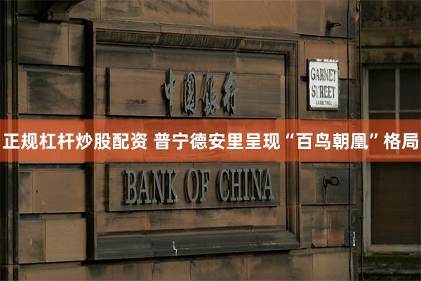 正规杠杆炒股配资 普宁德安里呈现“百鸟朝凰”格局