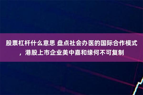 股票杠杆什么意思 盘点社会办医的国际合作模式，港股上市企业美中嘉和缘何不可复制