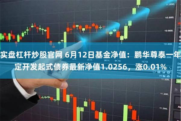 实盘杠杆炒股官网 6月12日基金净值：鹏华尊泰一年定开发起式债券最新净值1.0256，涨0.01%