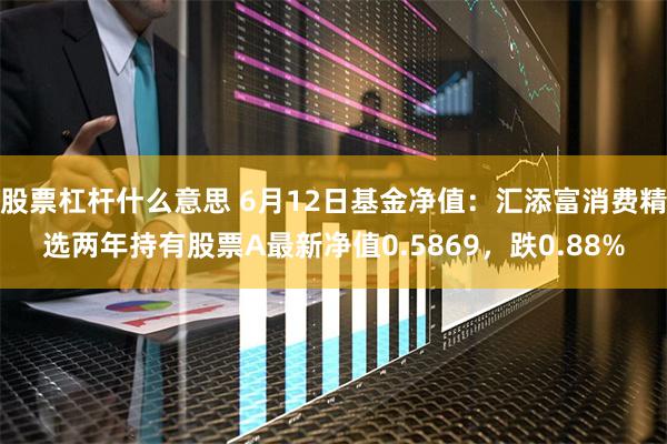 股票杠杆什么意思 6月12日基金净值：汇添富消费精选两年持有股票A最新净值0.5869，跌0.88%