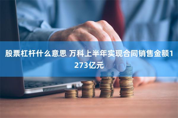 股票杠杆什么意思 万科上半年实现合同销售金额1273亿元