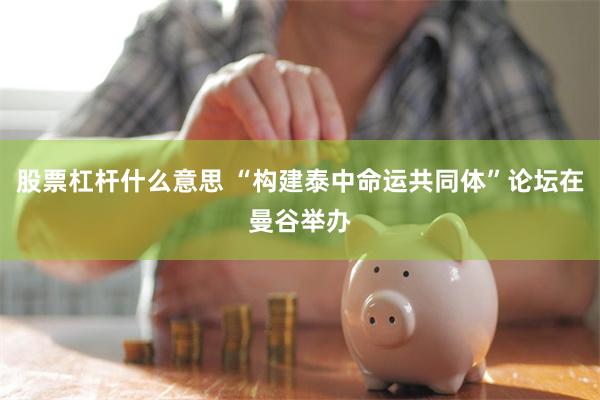 股票杠杆什么意思 “构建泰中命运共同体”论坛在曼谷举办