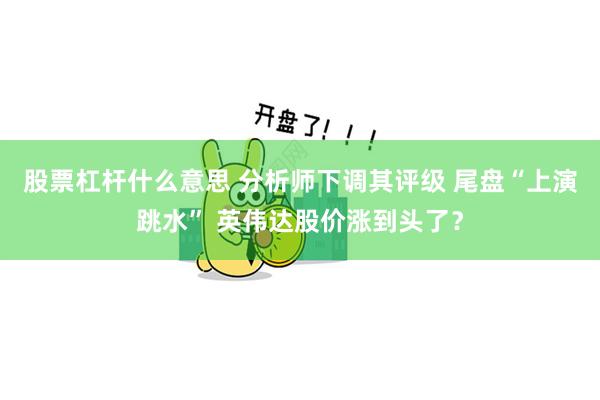 股票杠杆什么意思 分析师下调其评级 尾盘“上演跳水” 英伟达股价涨到头了？