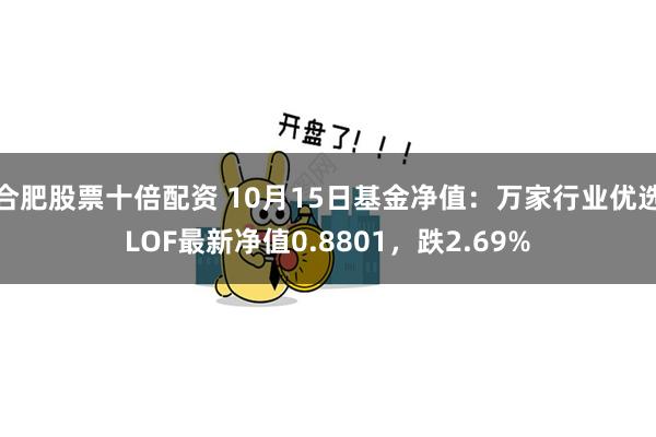合肥股票十倍配资 10月15日基金净值：万家行业优选LOF最新净值0.8801，跌2.69%