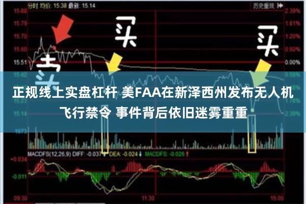 正规线上实盘杠杆 美FAA在新泽西州发布无人机飞行禁令 