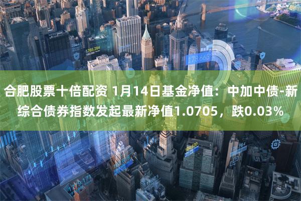 合肥股票十倍配资 1月14日基金净值：中加中债-新综合债券指数发起最新净值1.0705，跌0.03%