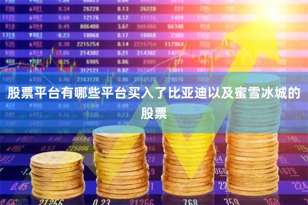 股票平台有哪些平台买入了比亚迪以及蜜雪冰城的股票