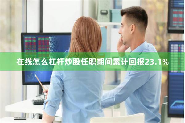 在线怎么杠杆炒股任职期间累计回报23.1%