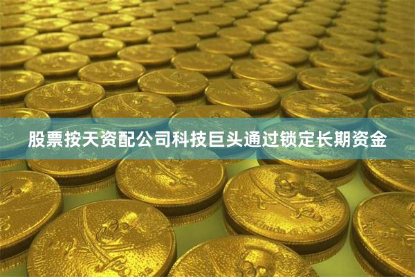 股票按天资配公司科技巨头通过锁定长期资金