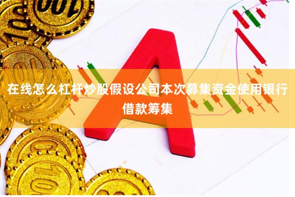 在线怎么杠杆炒股假设公司本次募集资金使用银行借款筹集